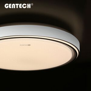 ceiling light