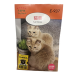 Skystar Cat Grass (Nepeta / Jingjie) &ndash; Herb Seeds, , large