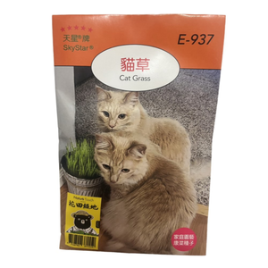 Skystar Cat Grass (Nepeta / Jingjie) &ndash; Herb Seeds