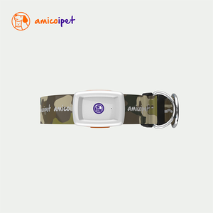 amicoipet