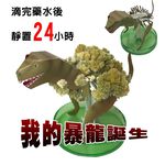 GS MALL 台灣製造 魔法開花成長恐龍樹 開花恐龍樹 恐龍樹 裝飾恐龍 開花樹 暴龍 神奇開花 成長樹 居家裝飾, , large