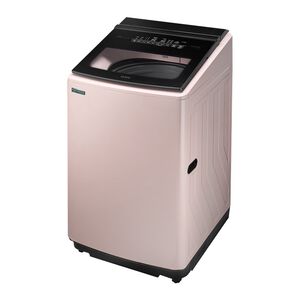 ES-P16DV(P1)
