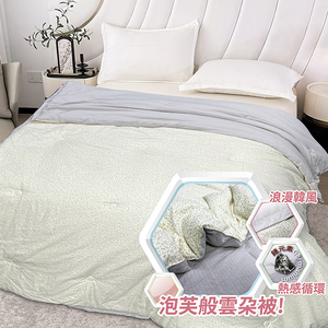 Indain_四季恆溫鍺元素可水洗抗菌被/棉被胎