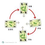 【新天鵝堡桌遊】黃瓜五兄弟, , large