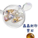 Amber Bug Science Kit, , large