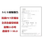 【K's凱恩絲】KF94韓版4D立體透氣蠶絲口罩-鋅離子抗菌/抗病毒布料 (成人專用), , large