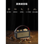 山進 SANGEAN FM調頻 木質皮革 藍牙攜帶喇叭 RA101, , large