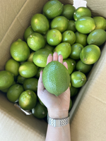 lemon, , large