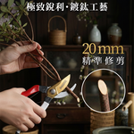 D-623ATC 鈦合金 Bypass 交錯式修枝剪 樹枝剪 花剪 防滑握柄 日本SK5 硬鉻+ 鈦合金鍍層 台灣製, , large