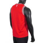 Nike NBA 青少年 球衣 籃球背心 背心 圓領 公牛 紅白 [WZ2B7BZ2W-BUL], , large