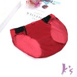 【K's凱恩絲】夏季繽紛紅網紗三角有氧蠶絲內褲, , large