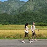 ZenRoller EcoGrain L 稻穀環保紓壓滾筒L(50.8x13cm)丨台灣製丨筋膜按摩, , large