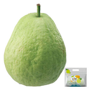 Taitung Liji Pearl Guava/bag