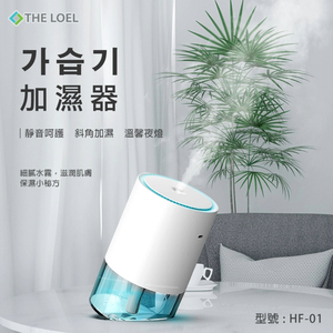 THE LOEL Spray Humidifier