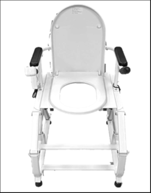 【ZUOWEI】ZW266 Electric lift toilet chair
