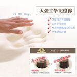 【日本旭川】軀幹定位護脊紓壓小熊造型頸枕 慢回彈 記憶枕 U形枕 飛機枕 旅行枕 午睡枕, , large