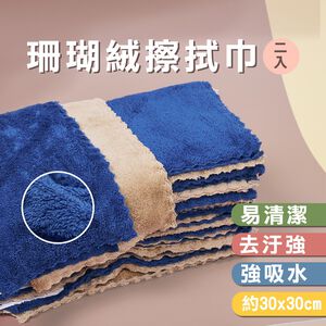 珊瑚絨抹布 抹布 廚房抹布 吸水抹布 擦手巾 珊瑚絨擦拭巾(2入) SP-DS04 【旺達棉品】