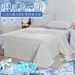 【FOCA】Summer Orchard | Cool Antibacterial Silver Ion Anti-Stumbling Cooling Yarn Ice Cream Quilt/Four Seasons Quilt 150x200cm, , large