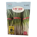 Skystar Bunch Onion &ndash; Vegetable Seeds, , large