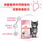 【Royal Canin法國皇家】離乳貓與母貓BC34, , large