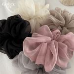 【Gulicc】, , large