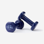 迪卡儂2kg啞鈴組2入, , large