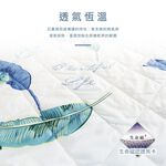 【日本旭川】生命磁MIT石墨烯四季被/空調被(多款可選) 涼被 台灣製 石墨烯被, , large
