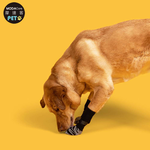 PETS, , large