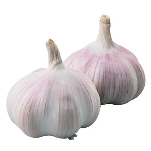 Imported Garlic Bulb