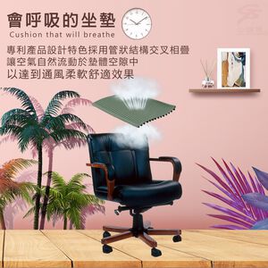 金德恩 GS MALL 台灣專利製造 透氣冰涼軟式坐墊 L號 通風墊 透氣墊 冰涼墊 軟式墊 坐墊 39x42x2.3cm