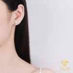 CF Diamond, , large