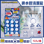 [日日好物]日本Kobayashi小林製藥-洗淨丸排水管道免刷洗除垢淨味清潔錠12入/盒(多款可選), , large