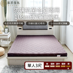 台灣製【藤原傢俬】冬夏兩用護背防螨抗菌10 cm彈簧床墊-硬, , large