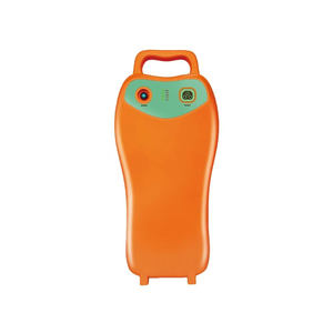 BLDC Donglin High-Power Lithium-Ion Battery V8-15Ah