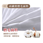 [ Pure Sleep純好眠 ] 羽絲絨飯店枕芯, , large