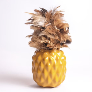Want Want Pineapple Yellow