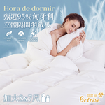 【Betrise】 Selected Hungarian 95% 3D Compartmented Down Winter Quilt - MIT Taiwan Made (Extra Large 8x7 ft), , large