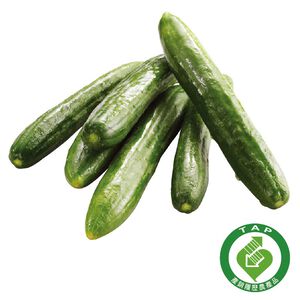 CFPLB_Little Cucumber
