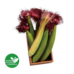 CFBIO Baby corn, , large