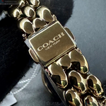 [TIMEMASTER] COACH watch, 22mm28mm, CH00262, , large