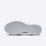 FV1293-100, , large