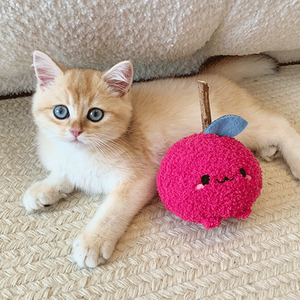 matatabi-cat-chew-toy