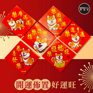 Spring Festival decoration