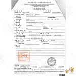 2罐組 ZEAL 真致 紐西蘭犬貓專用鮮乳 (不含乳糖) 1000ml 犬貓鮮奶 犬貓牛奶 貓牛奶 狗牛奶 寵物營養, , large