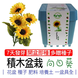 【心安購物】iPlant積木盆栽-向日葵