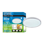 Everlight  55W LED  Ceiling Lamp (SY), , large