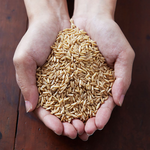 【米森 vilson】Organic Oat Groats, , large