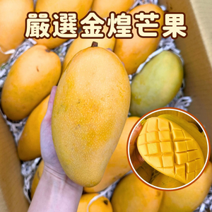 [芯鮮果]台灣嚴選( 金煌芒果 )