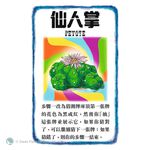 【新天鵝堡桌遊】砰！豪華子彈版, , large