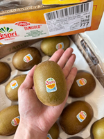 Zespri™ SunGold Kiwifruit, , large